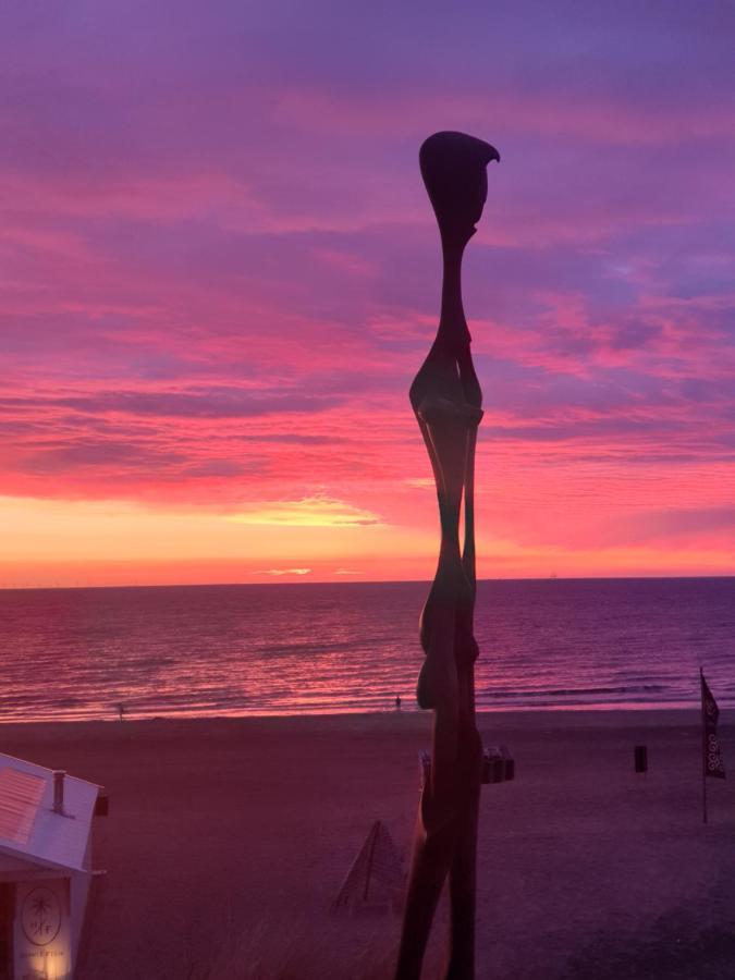 Sunset Lodge Zandvoort Εξωτερικό φωτογραφία